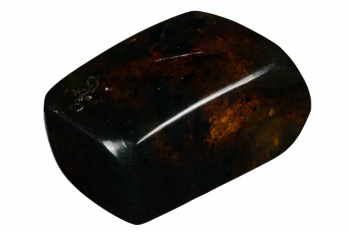 Polished Chiapas Amber ( g) - Mexico #180482